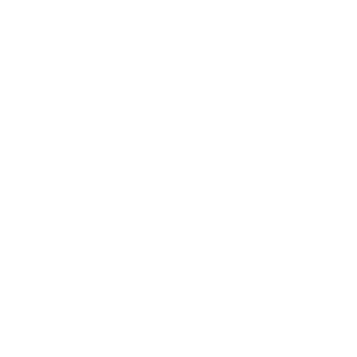 Customer Service