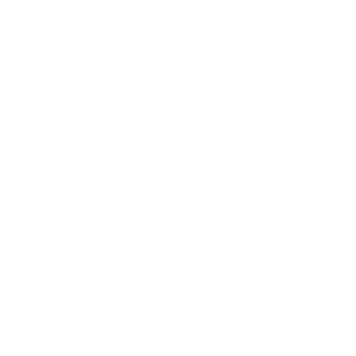 Vision